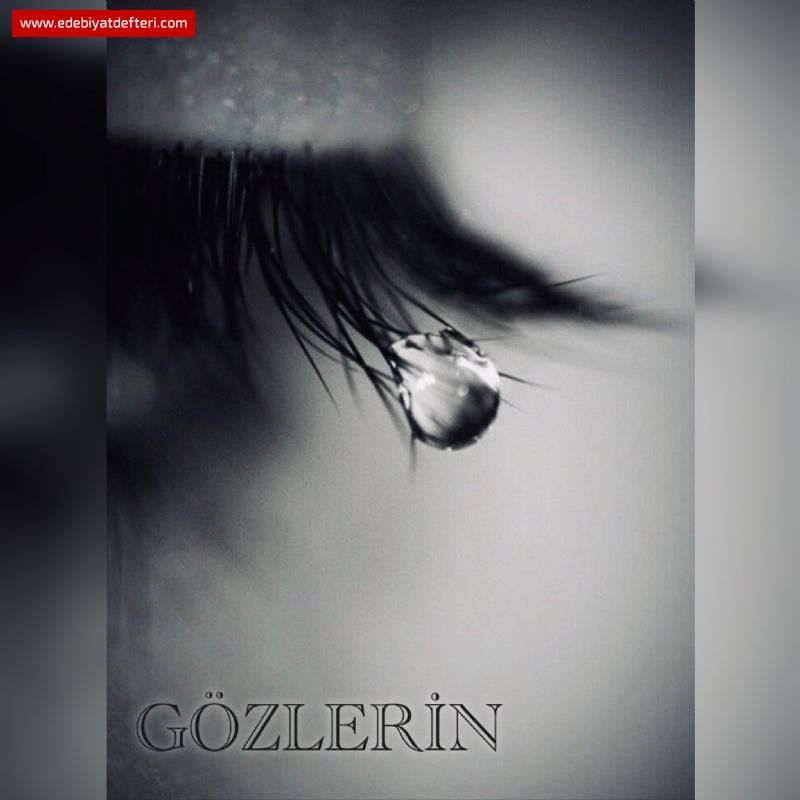 GZLERN