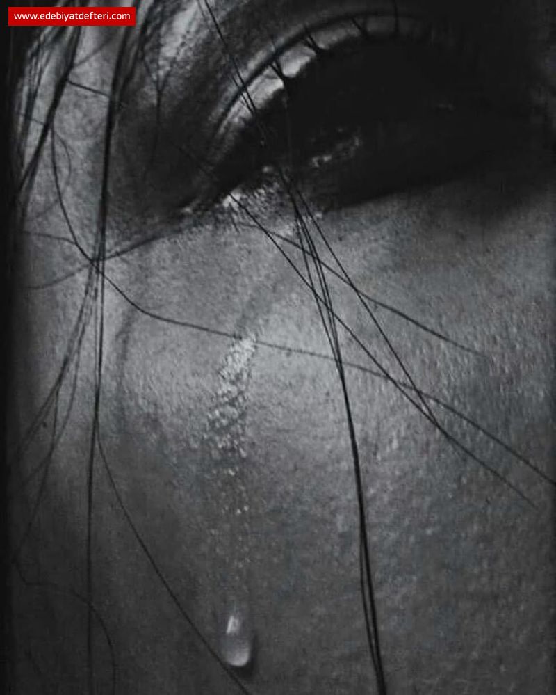 ANNEMM LKLER