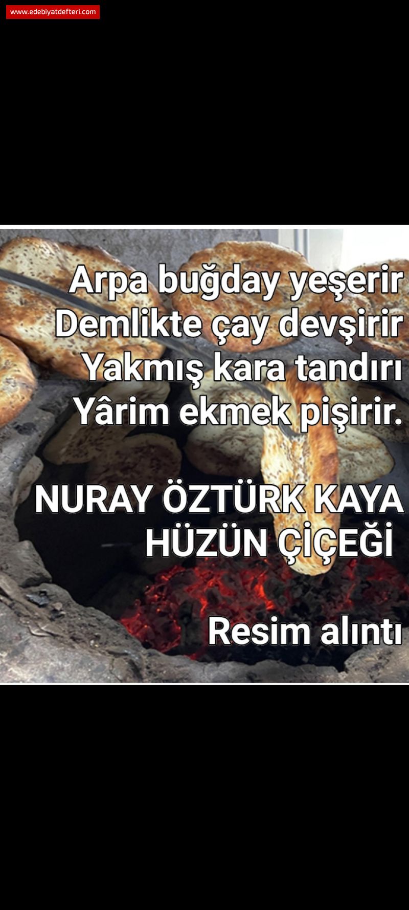 T DERMENC DAYI