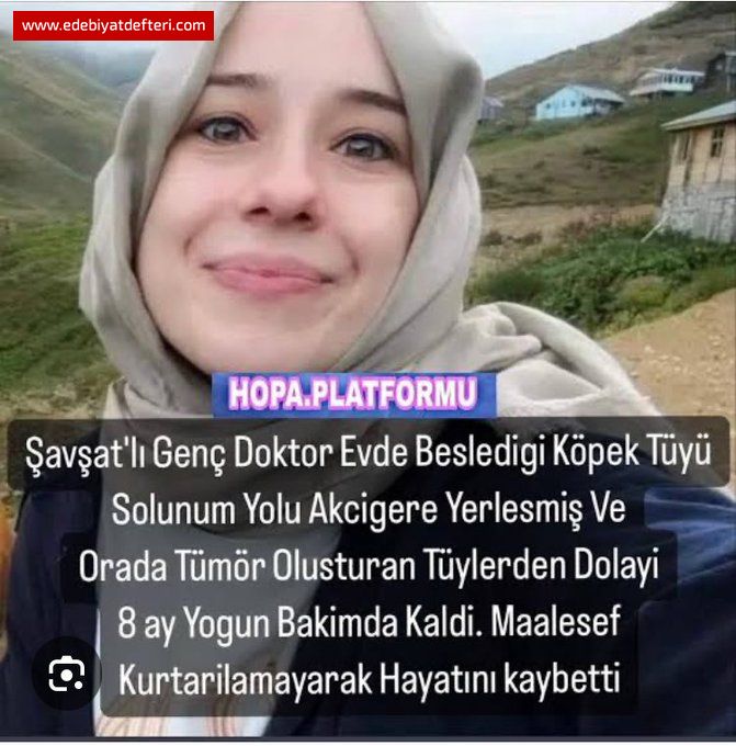 TLERLE TLER
