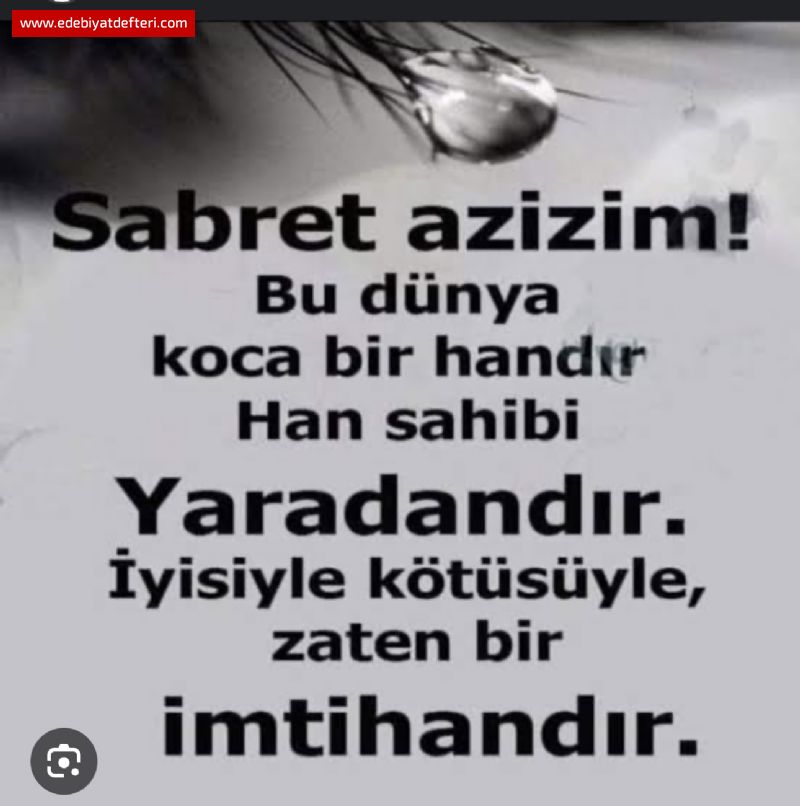 Dnya Bir Handr