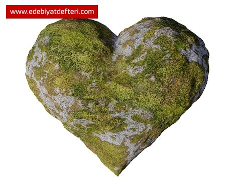 YOSUN TUTTU YÜREĞUM