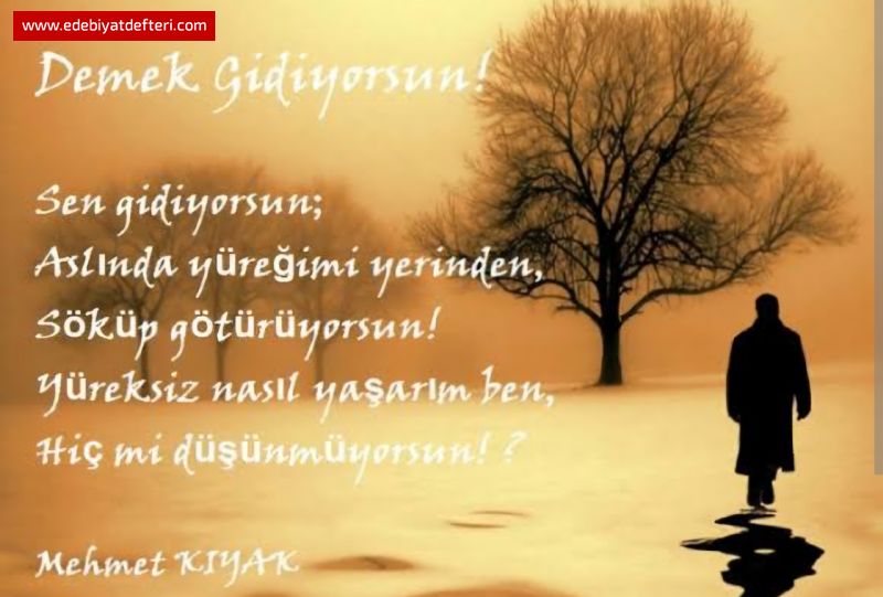 Gidiyorsun