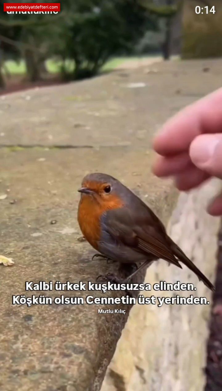 Kuku