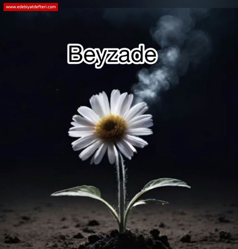 Hayal D Gibi