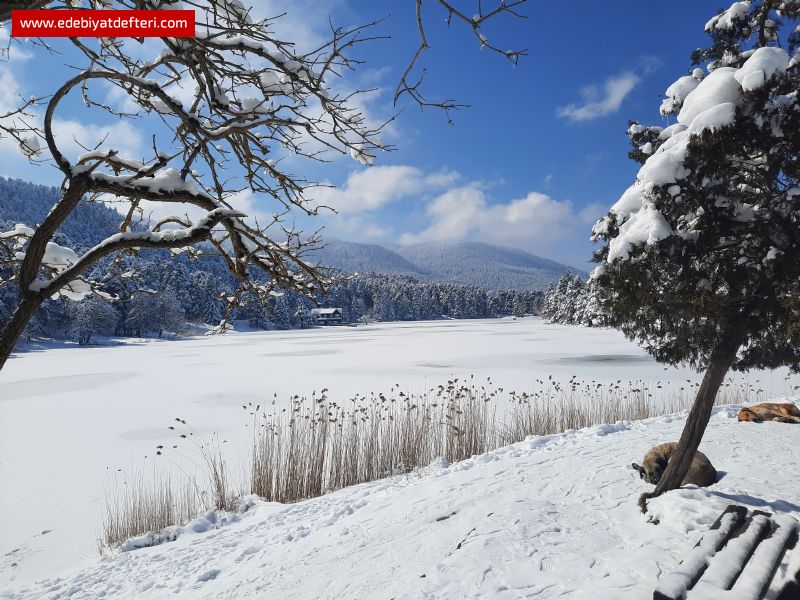 Yayla Trks