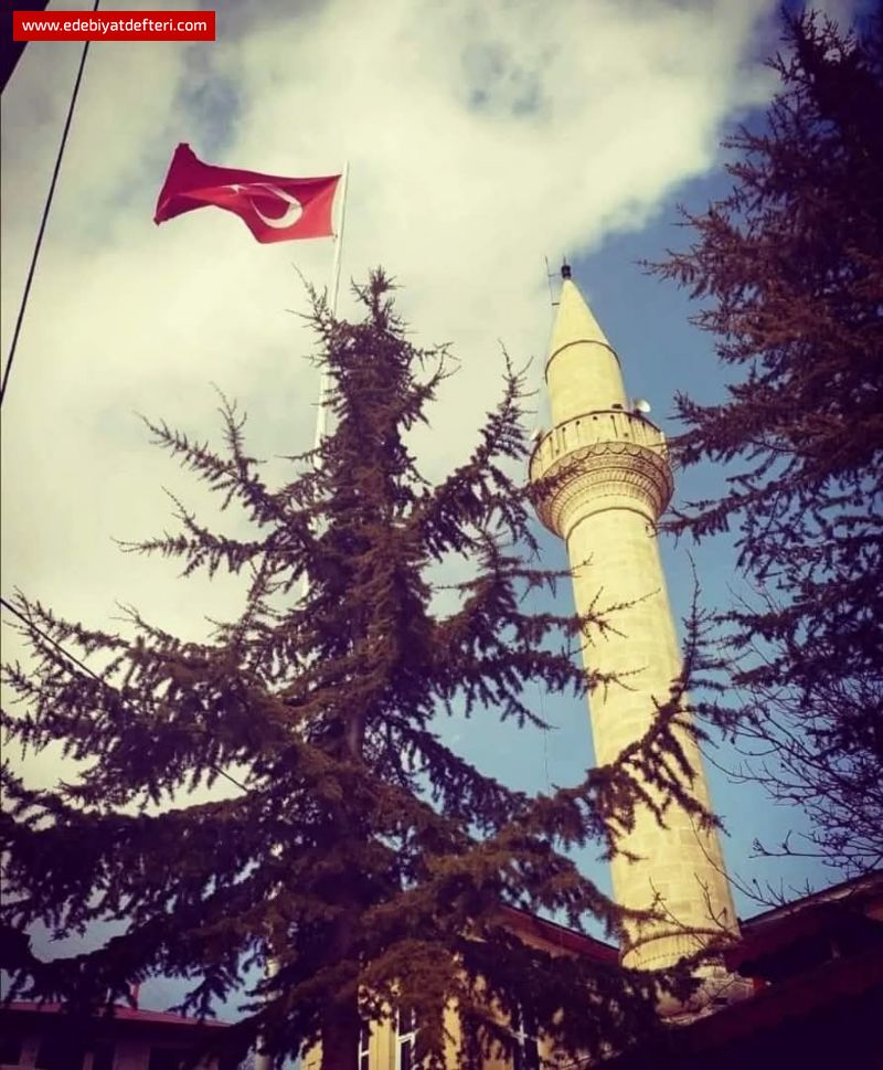 RAMAZAN SEVNC