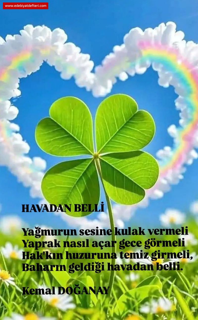 HAVADAN BELL