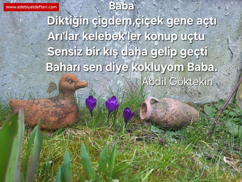 Baba