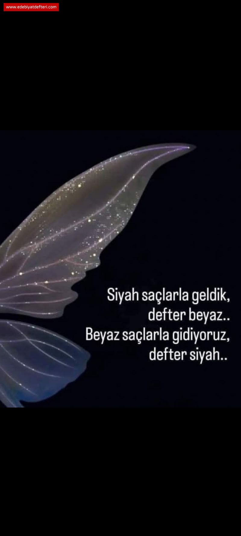 Uzak eyle