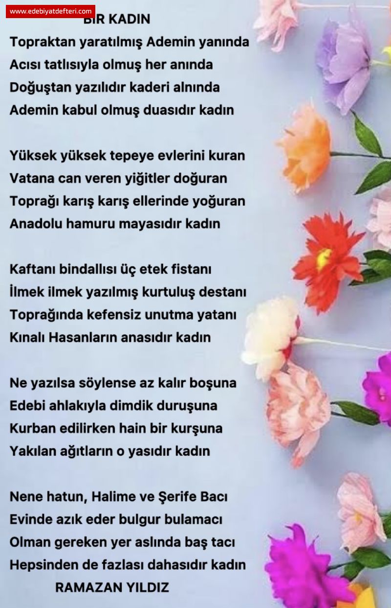Bir Kadn