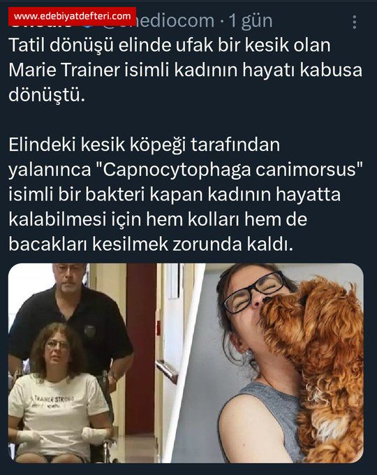 EZK MUHALEFETN