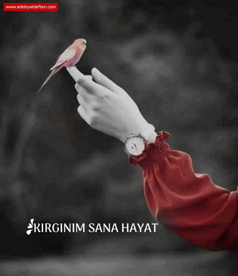 KIRGINIM SANA HAYAT