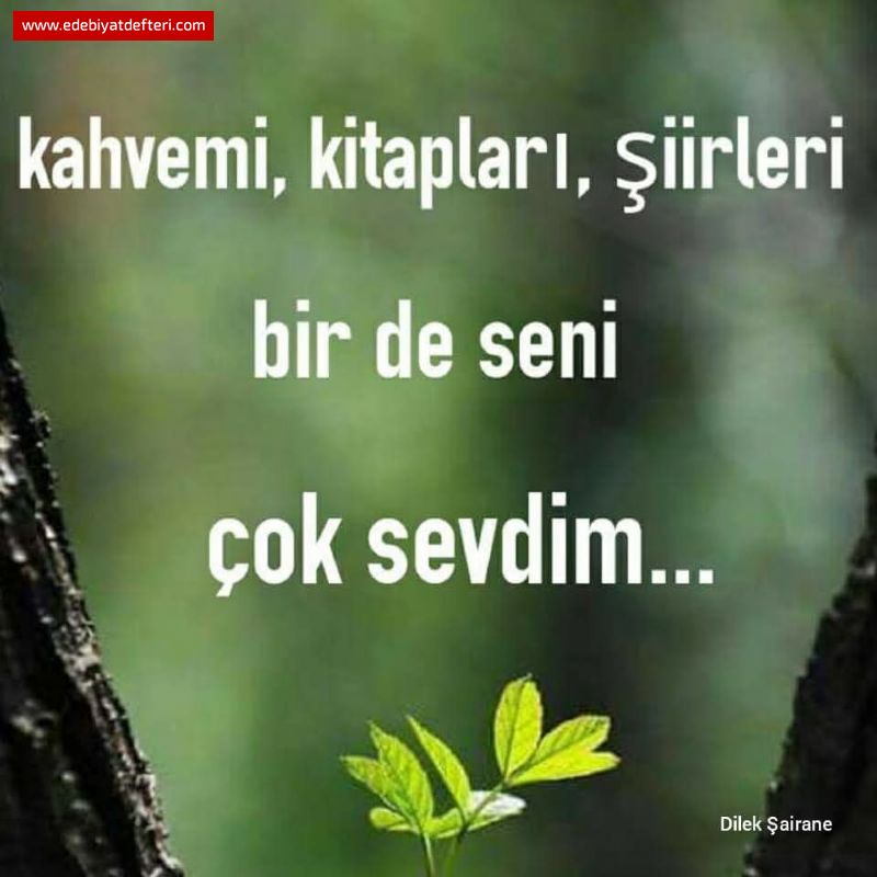 Sevmek