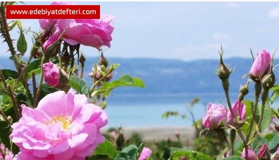 VAKT GEYOR