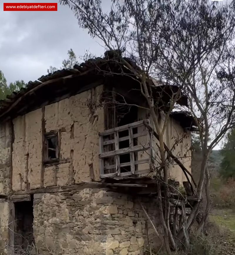 VRANE EVLER