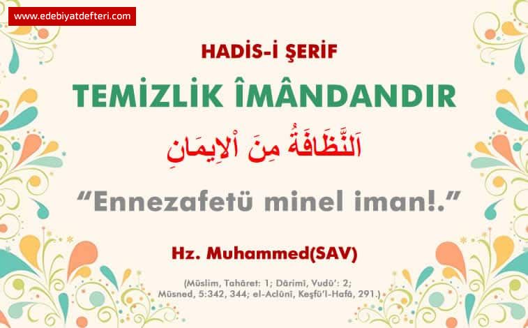 TEMZLK  MANDANDIR.