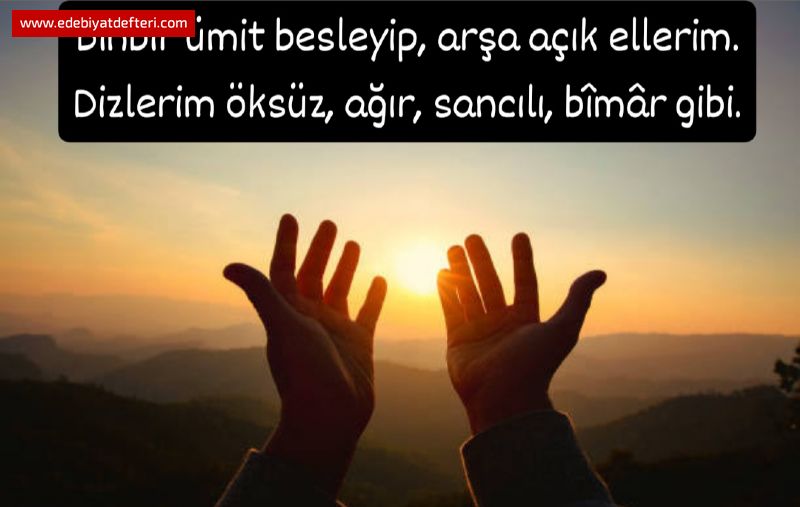 STEMNME