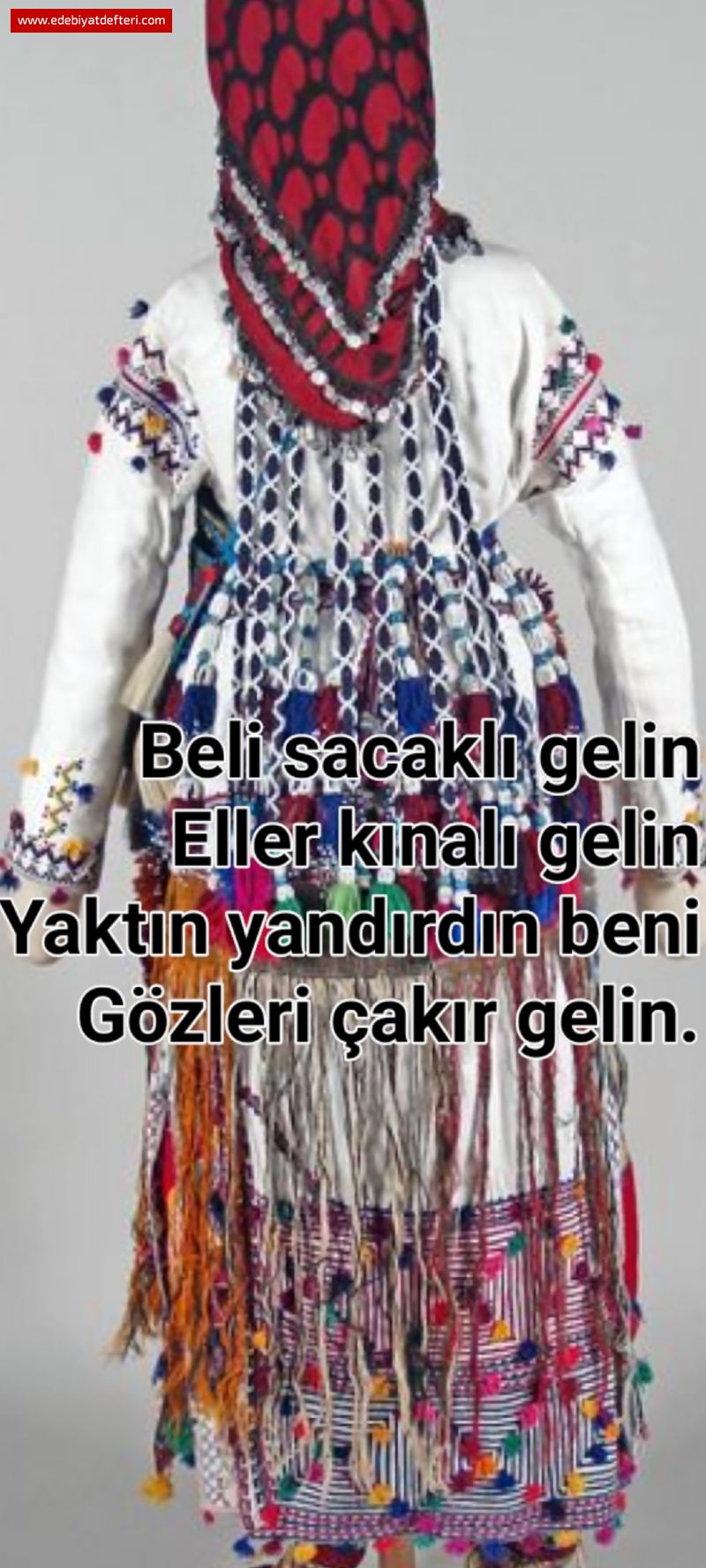 GZLER AKR GELN