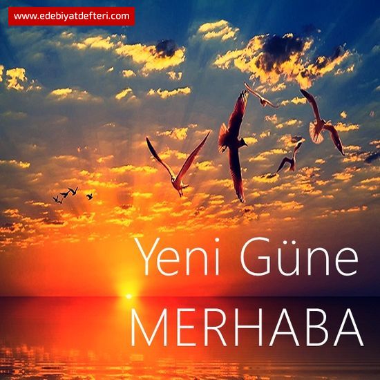 ELBET BR GN