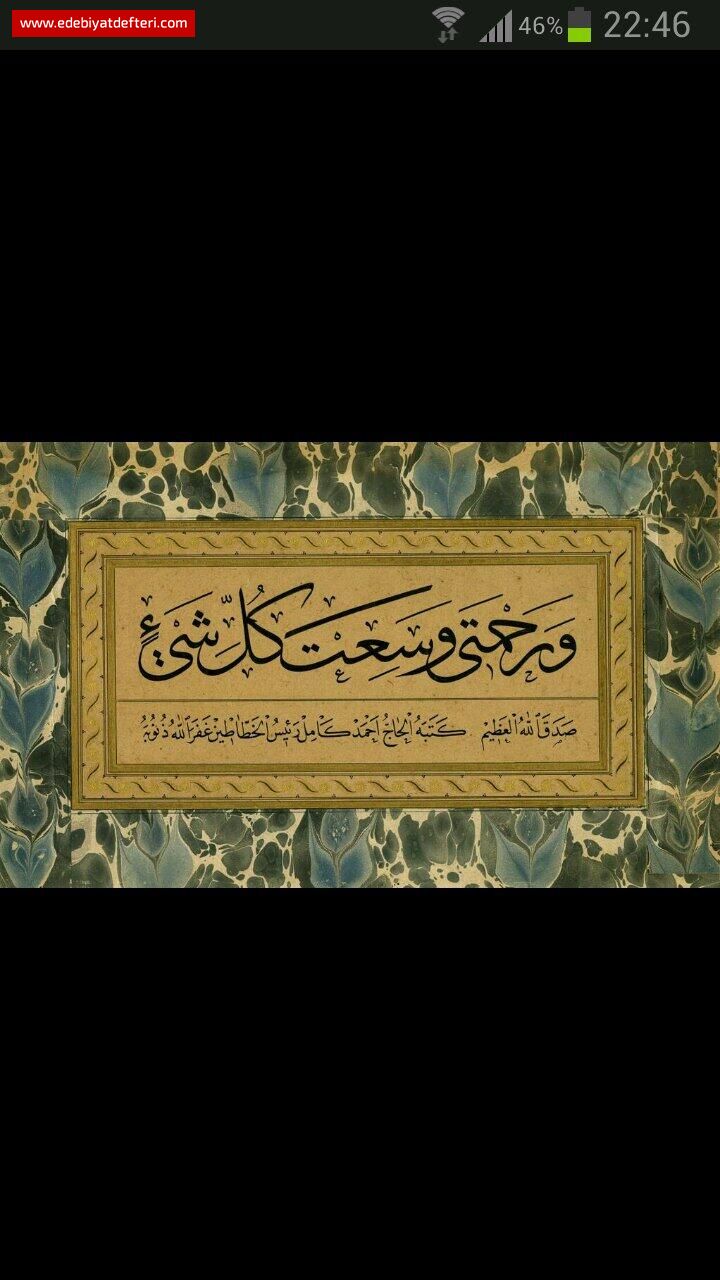 NSAN  MRN  GANMET  BLMALDR..