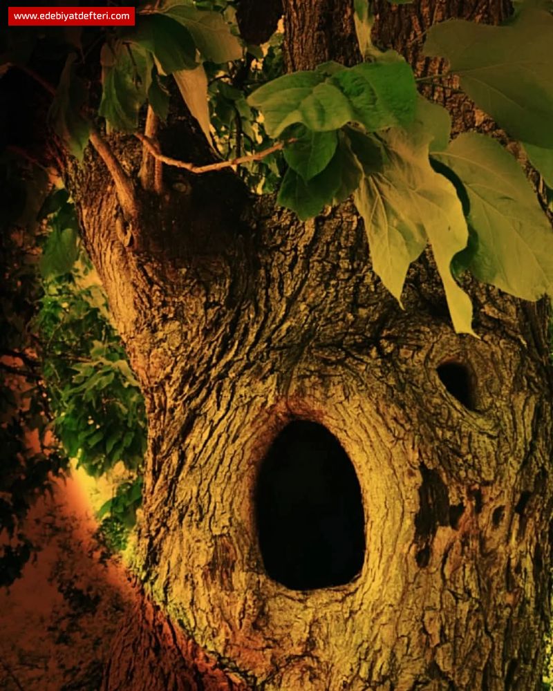 Bir Oyuk Nefes Alıp Veren...