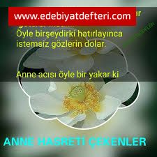 BZ GZL YALI KOYDU GDYOR ANAM