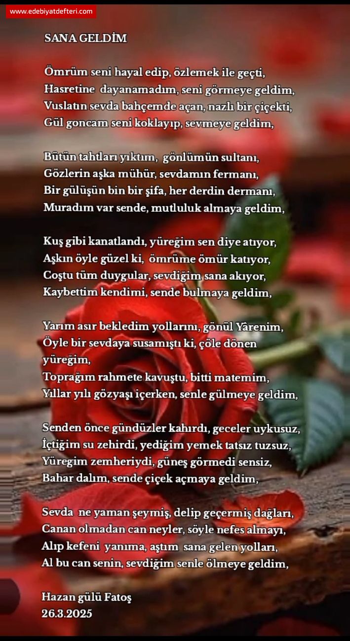 SANA GELDM