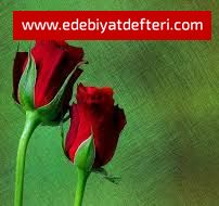 Dn Gel Hakk'n Yoluna