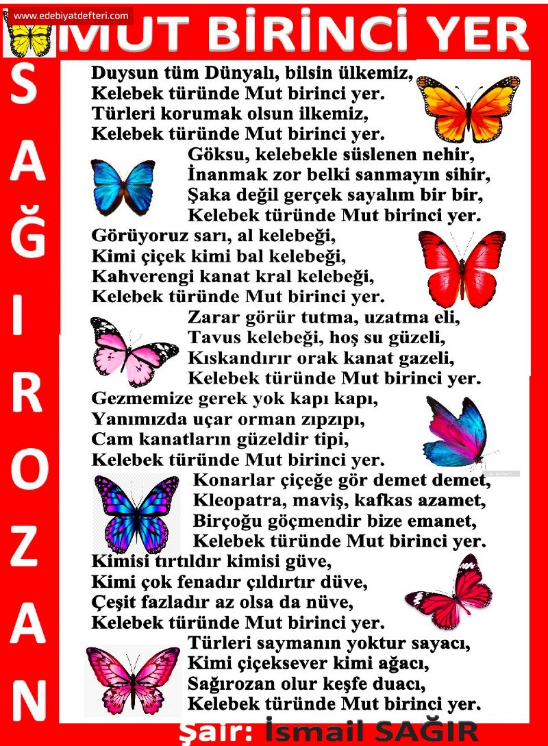 MUT BRNC YER