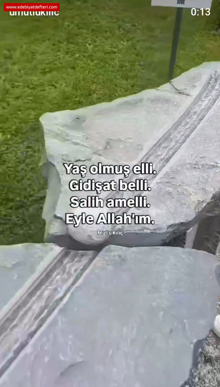 Ya Olmu Elli