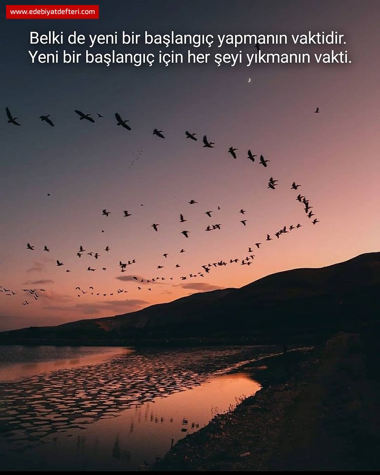 Yeni Bir Başlangıç