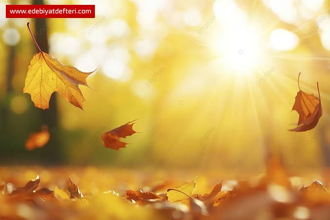 YÜREĞİMDE DERİN YARA