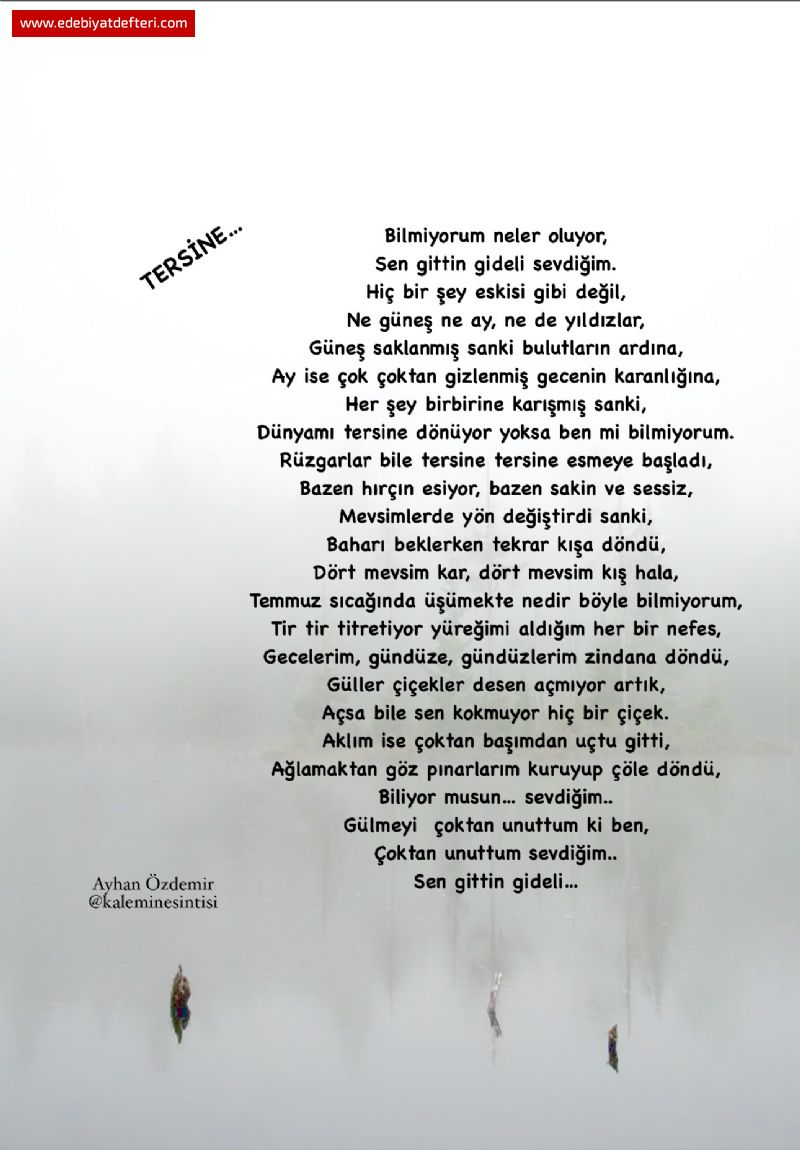 TERSNE