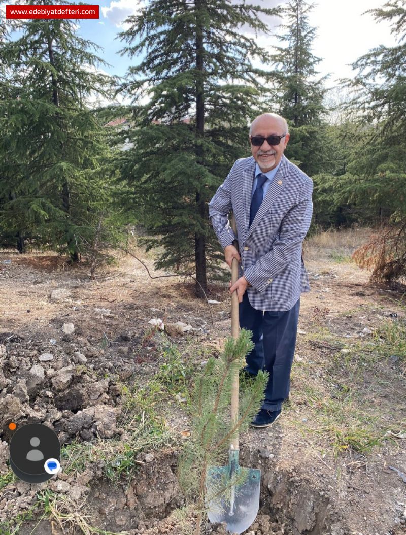 Yeni Bir Bahar Gelsin