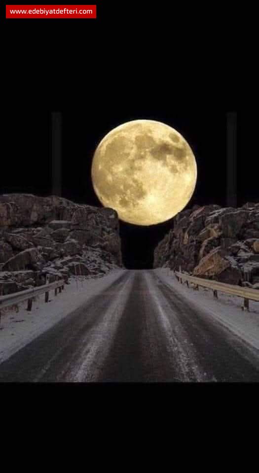 GERÇEK DUYGULAR VE İNSANLAR &