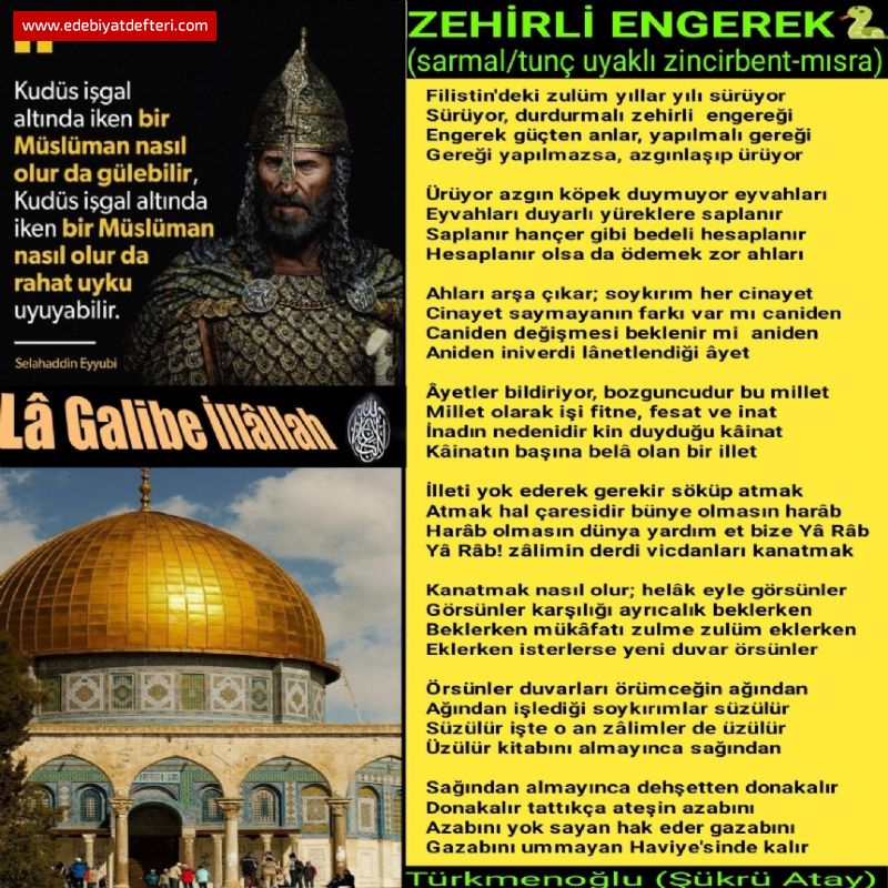 ZEHİRLİ ENGEREK 🐍