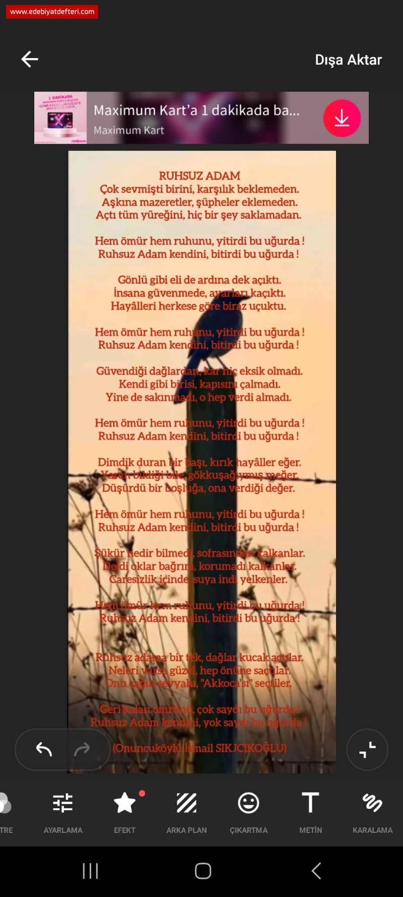 Ruhsuz Adam