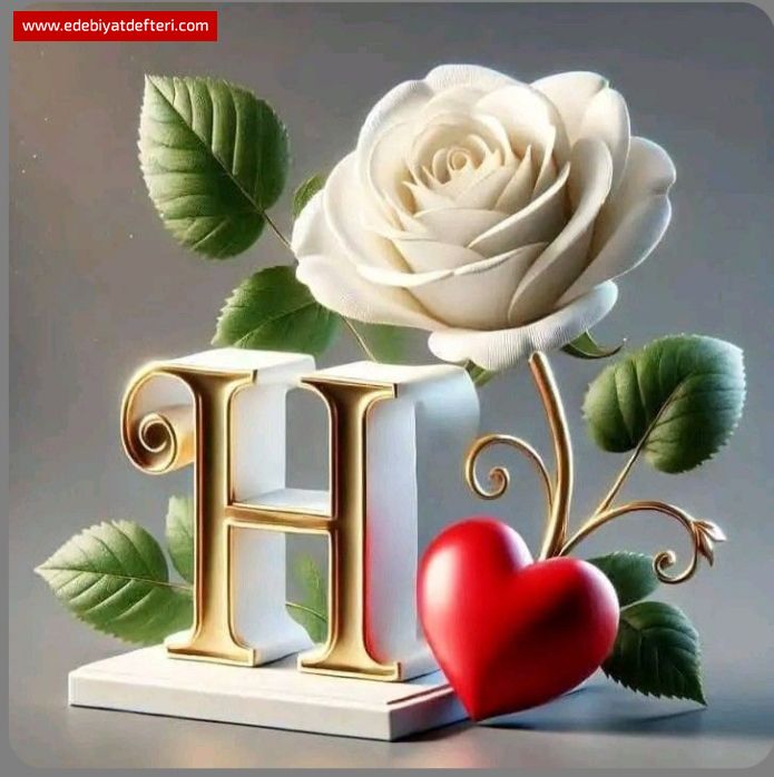 Hi sevmedin say