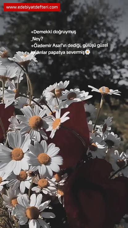 Kr Papatyas