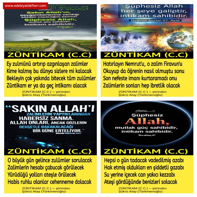 ZNTKAM (C.C)