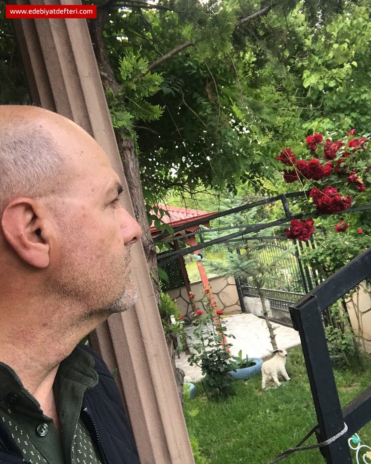 DEĞİL Mİ GÜLÜM?..