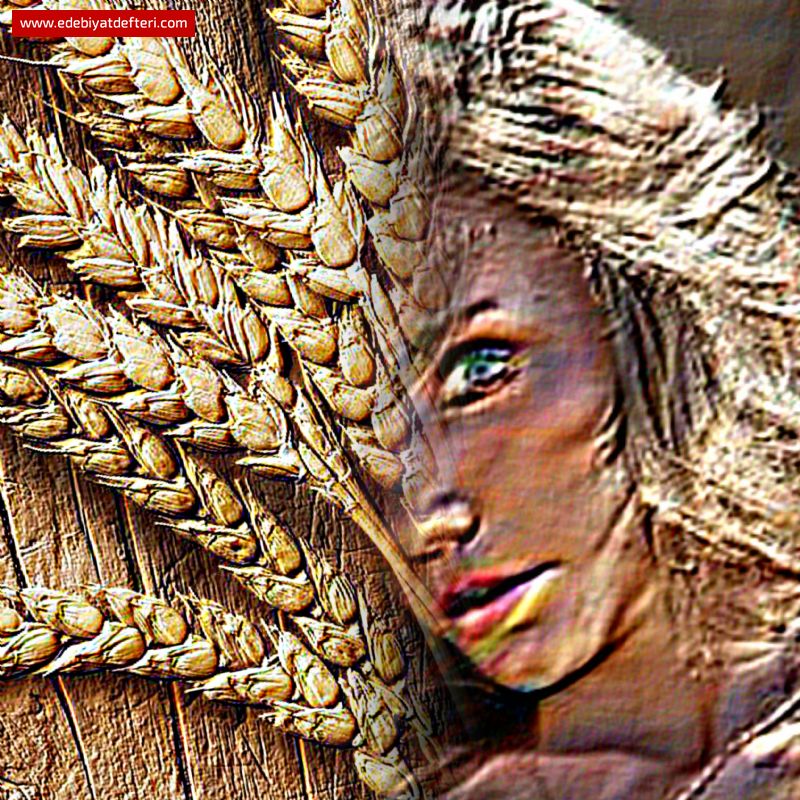 Kuru Otlar ve Yüzünde ki Şiire Dair