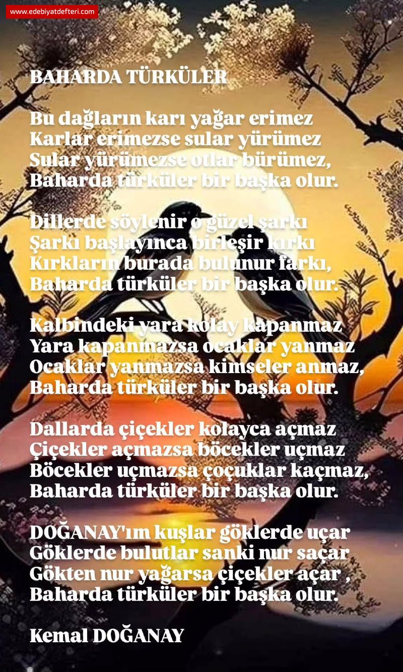 BAHARDA TRKLER