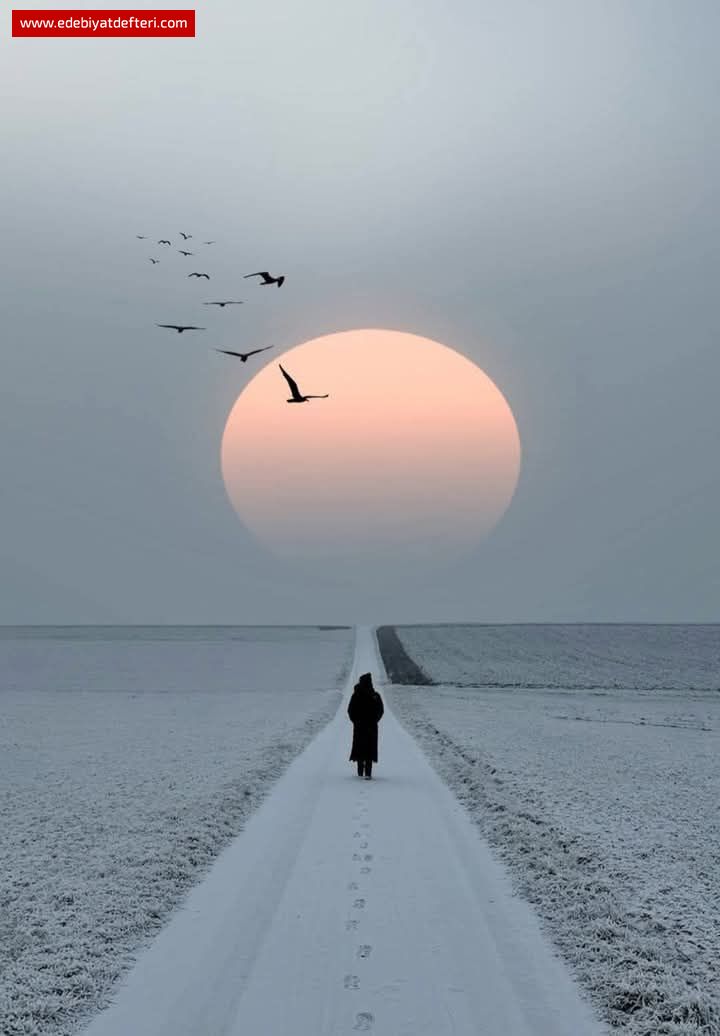 Ölü Doğan Güneş