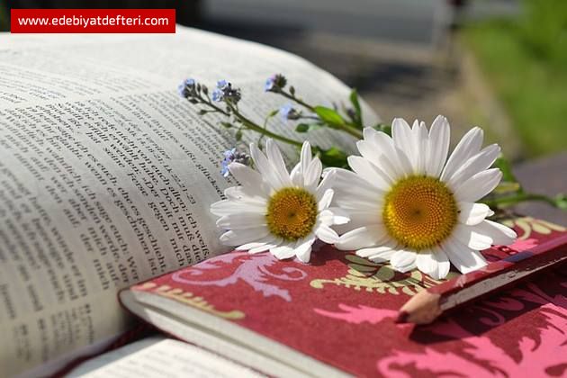 HASTAYIM BAK GELSEN DİNER ACILARIM