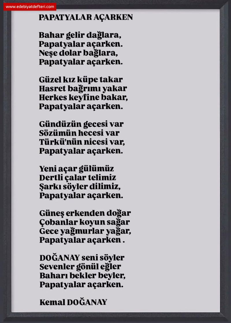 PAPATYALAR AÇARKEN