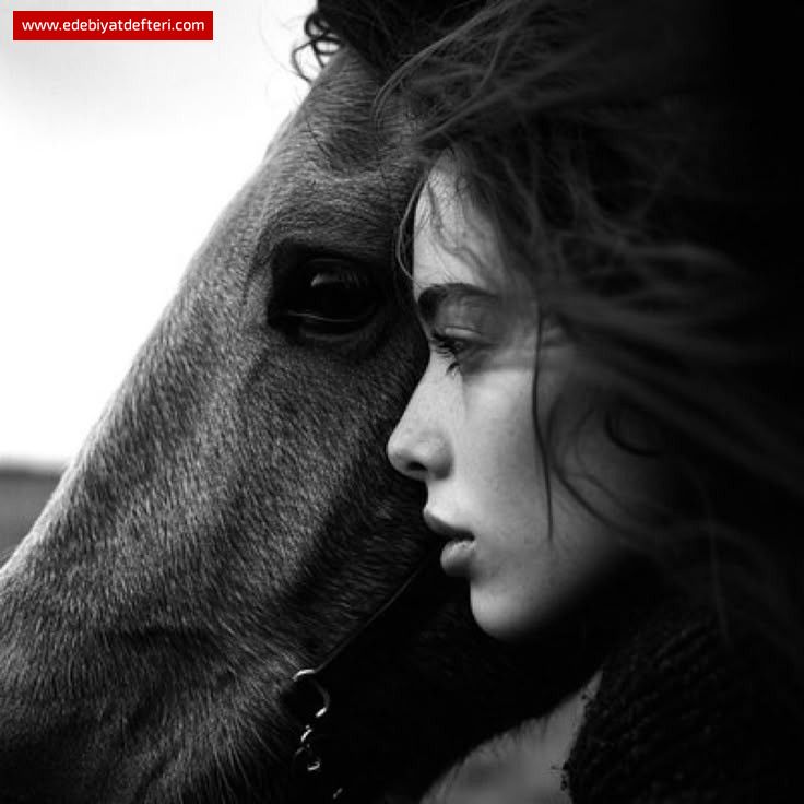 ASYANIN HÜZÜNLÜ DÜNYASI