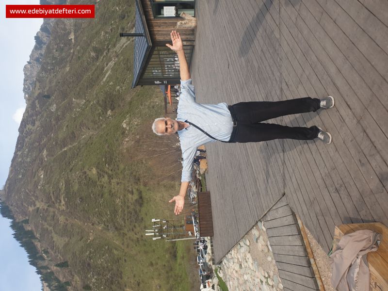 ALTAY DALARI  (drtlk)