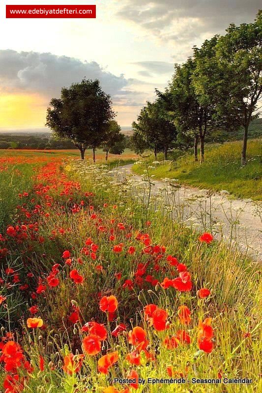 AKŞAMIN SİHRİ DOLAŞIR SAÇLARIMDA